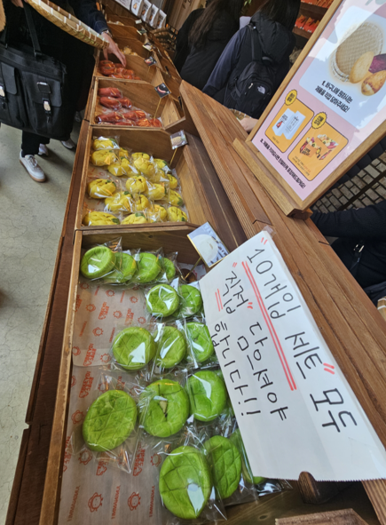 정남미명과 진열