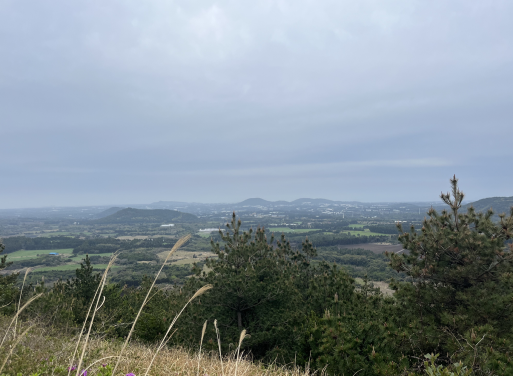 제주 파타고니아 트레일러닝  코스중에제주풍경